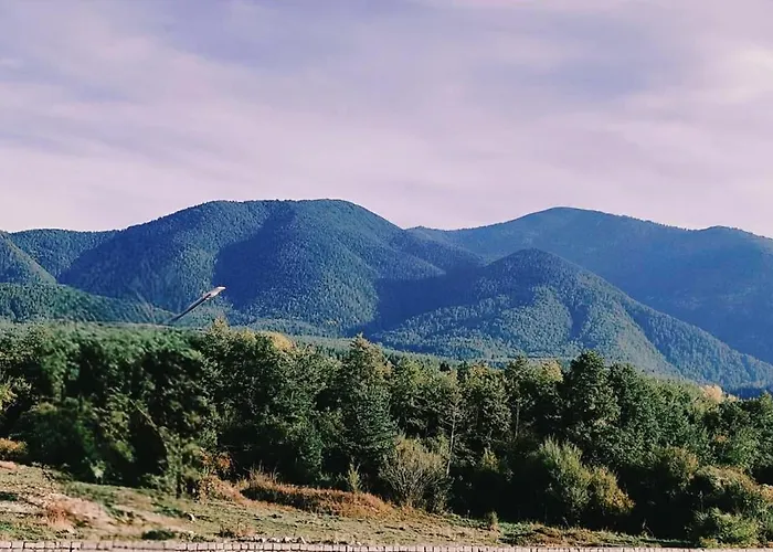 Downtown Bansko- Eliko *