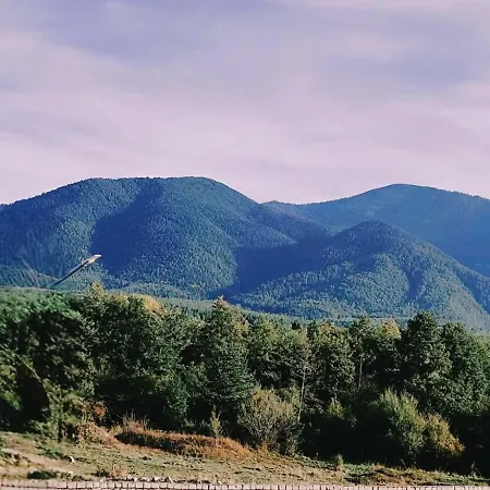 Downtown Bansko- Eliko *
