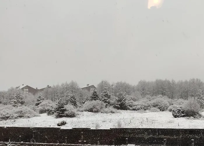 Downtown Bansko- Eliko Apartment *