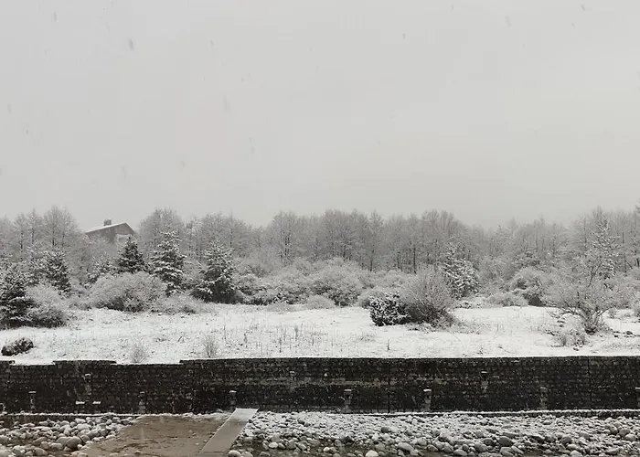 Downtown Bansko- Eliko Apartment *